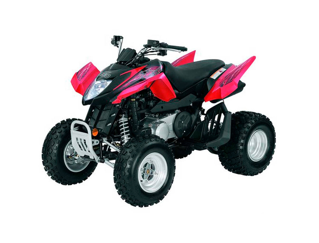 Arctic Cat Dvx 250