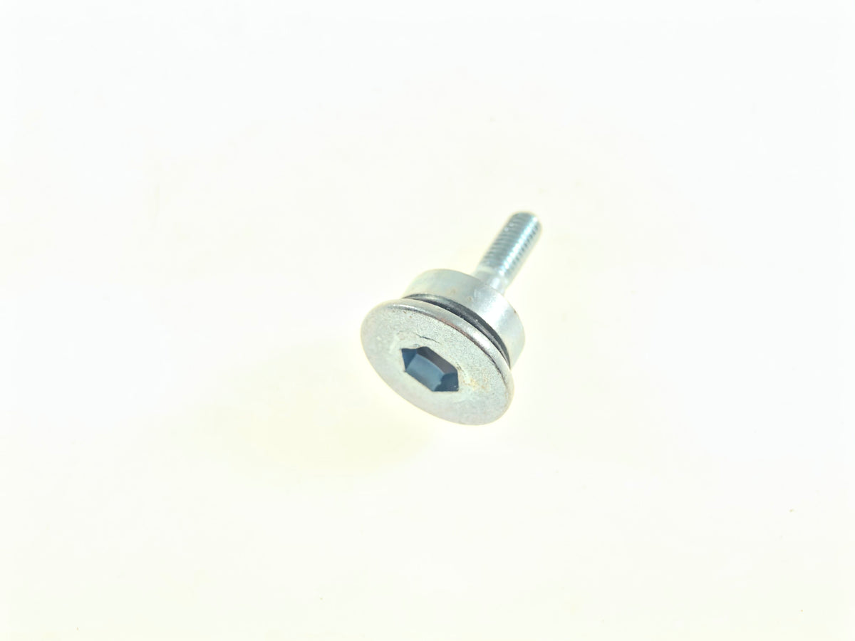 Timing chain slider screw Kymco MXU 150, genuine