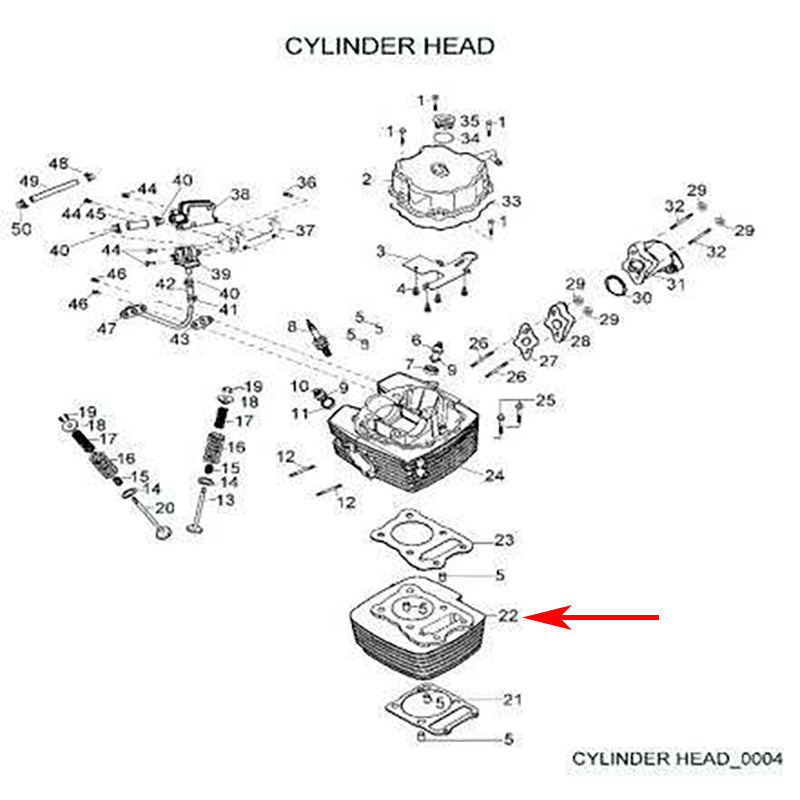 Cylinder Aeon Cobra 220, genuine