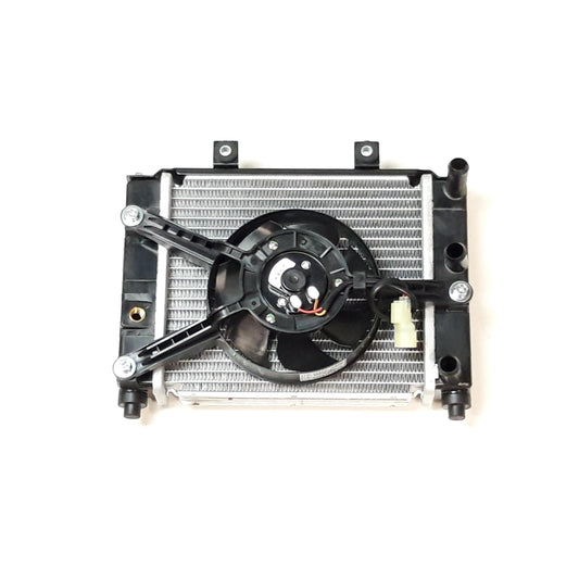 Radiator Assembly Triton Baja 250, Baja 300, Outback 300, Baja 400, Baja 400 EFI, AMS 4.30 SX (Carburetor)