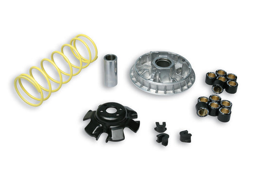 Variator kit Aeon Cube 300, Crossland 300, Cobra 320, Elite 350, Urban 350i, Goes 300S