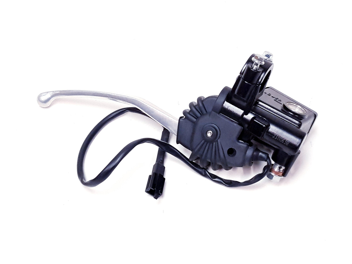 REAR BRAKE ASSY Linhai Buck 125 E5, genuine