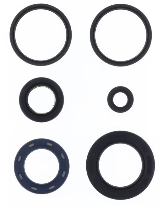 Engine oil seal kit KYMCO B&W 250 00, GRAND DINK 250 01-02, PEOPLE 250 04-07, X CITING 300 08-09, X CITING 250 05-07, G-DINK 300 12,