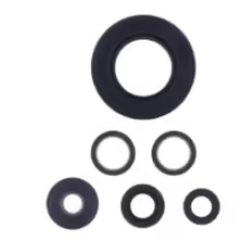 Engine Oil Seals Kit KAWASAKI Z1000 03-09, Z750 04-11