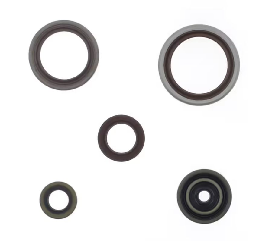 Engine Oil Seals Kit BETA RR 250 / 300 RR RACING 13-25 (replaces P400060400011)
