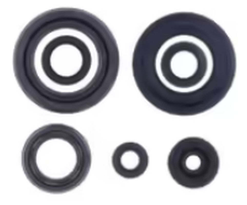 Engine Oil Seals Kit YAMAHA YFZ 350 BANSHEE 87-06