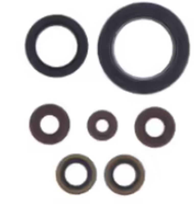 Engine Oil Seals Kit SHERCO SEF-R 250/300 14-20