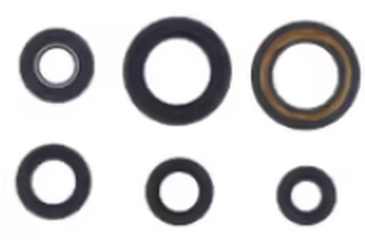 Engine Oil Seals Kit YAMAHA XT600E/K 96-02