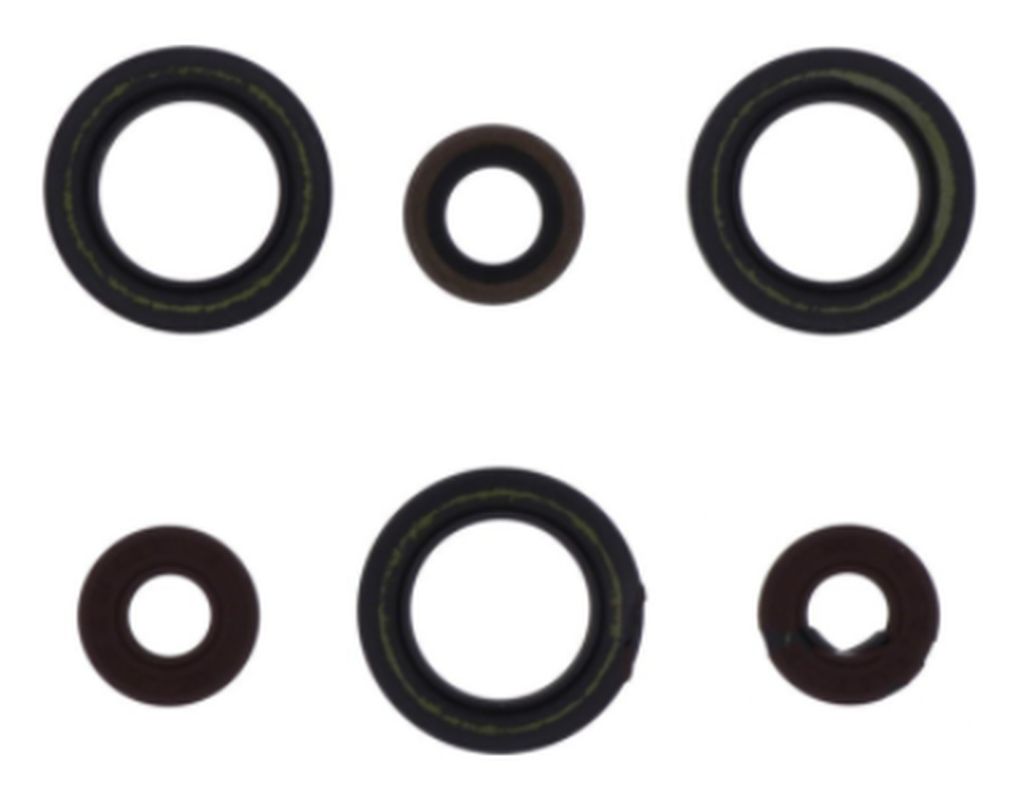 Engine Oil Seals Kit SHERCO SE-R 125 18-21