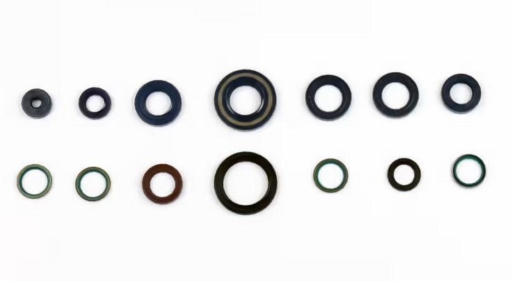 Engine Oil Seals Kit DUCATI 944 ST2 97-98, MONSTER 900 93-00, SUPER SPORT 900, MONSTER 750 93-00, SUPER SPORT 750, MONSTER 600 93-00, MONSTER 400 93-00