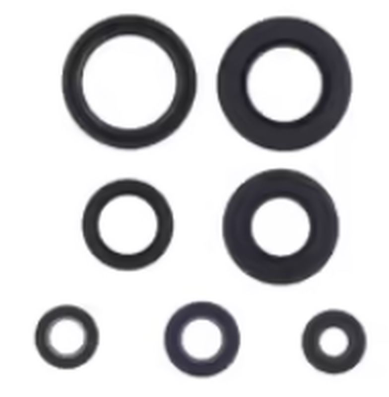 Engine Oil Seals Kit YAMAHA YFS 200 BLASTER 88-06