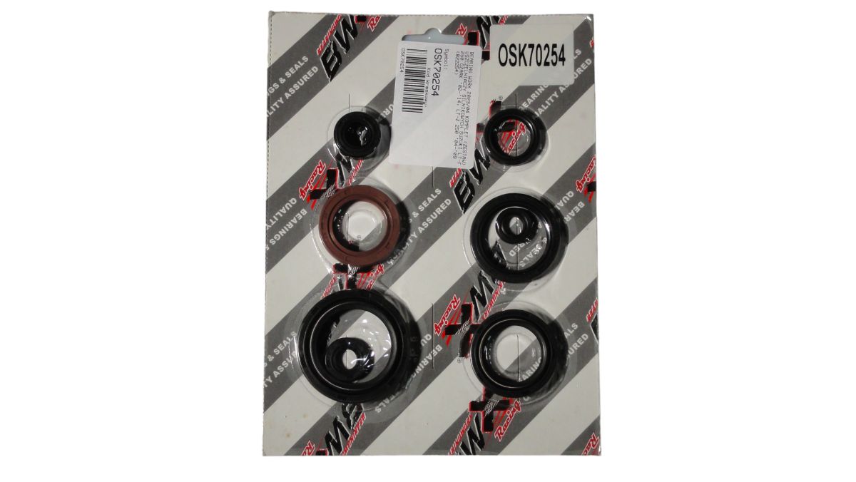 COMPLETE ENGINE SEAL KIT SUZUKI LT-Z 250 04-09, LT-F 250 OZARK 02-14 (822254)