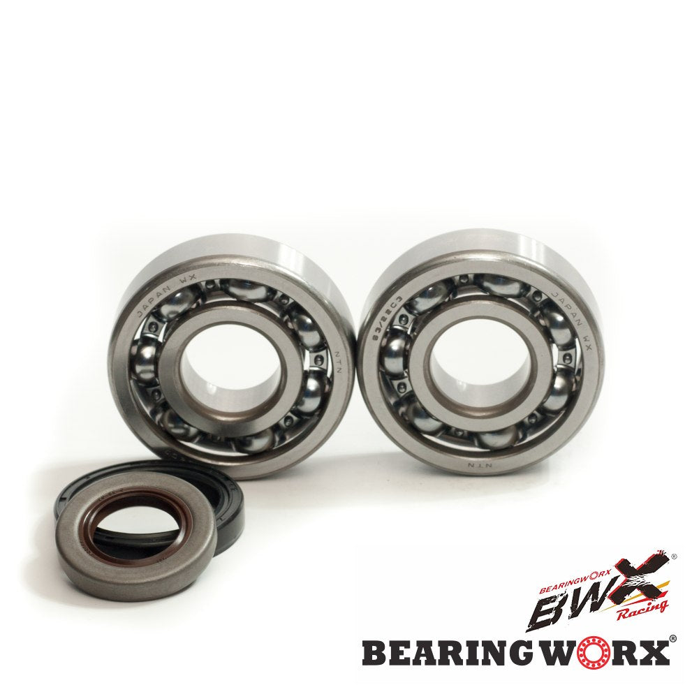 CRANKSHAFT BEARINGS WITH SEALS GAS GAS EC 125 10- (NTN) (MADE IN JAPAN)