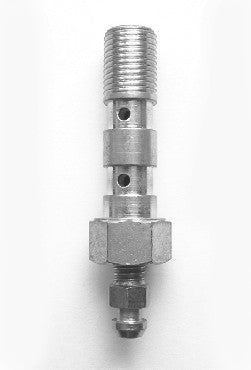 LONG BOLT WITH BLEED (DOUBLE) M10X1.25 (COARSE THREAD)