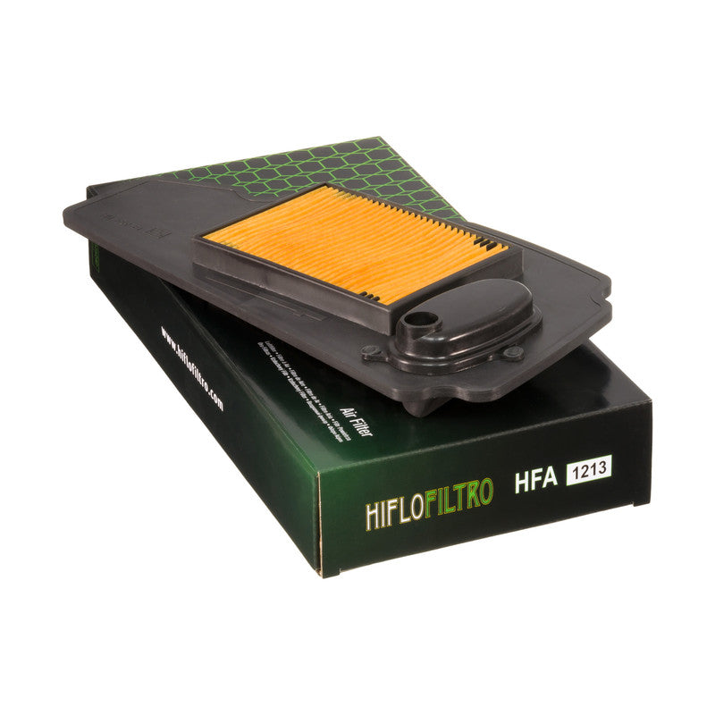 Air filter HONDA NSS 250 FORZA X/EX 05-07 (H1226)