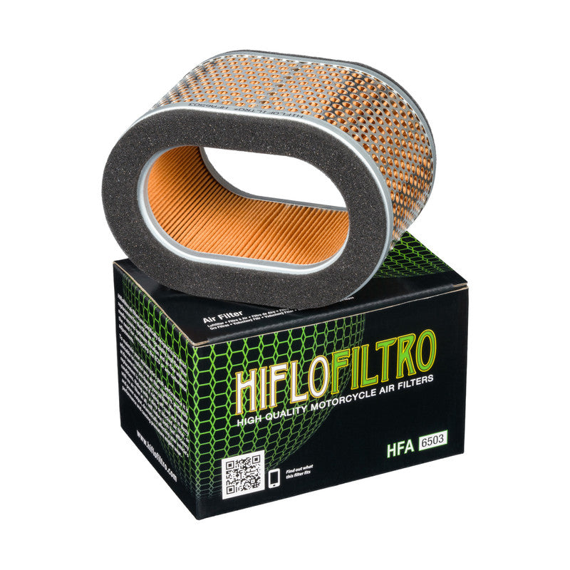 Air filter TRIUMPH 955 SPRINT RS / RT (02-04), 955I DAYTONA (02-06), 955I SPEED TRIPLE (02-04) (OEM T2201751) (T23103)