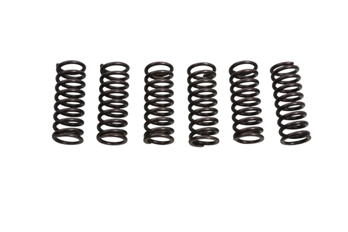 CLUTCH SPRINGS HONDA CRF250 10, SUZUKI RM125 93-98 (EBS027)