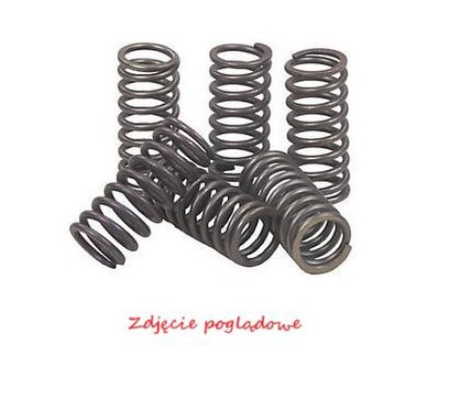 Clutch Springs Kawasaki KLX450R 08-12, KX450F 06-11