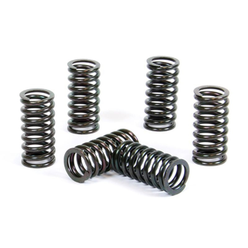CLUTCH SPRINGS SUZUKI RM 250 '98-05 (EBS091)