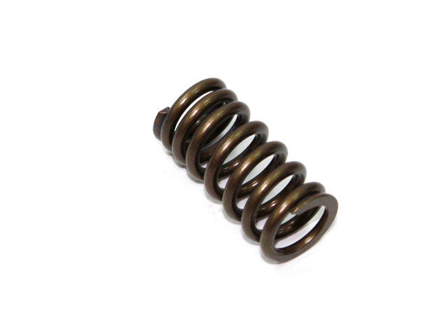 Intake Valve Spring Honda CRF250R 10-15 (MX-09532IS)