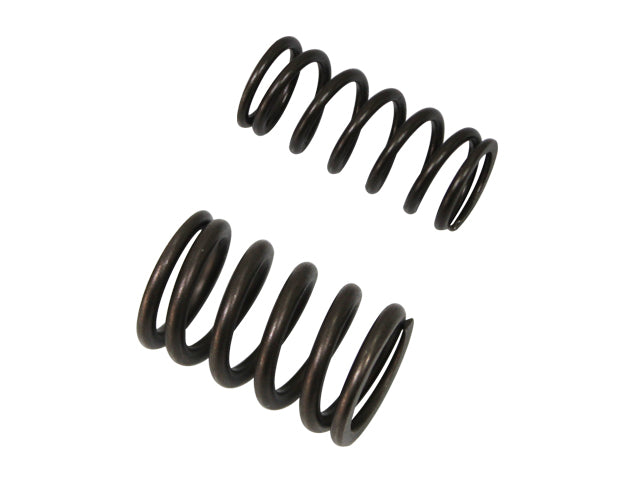 Intake Valve Spring Honda CRF450X 05-16 (MX-09503IS)