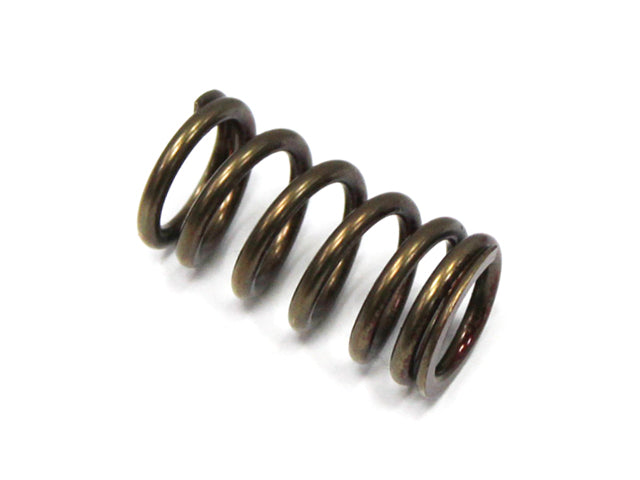 Exhaust Valve Spring Yamaha YZF250 01-13, WRF250 01-13, GasGas EC250F 10-15, EC300F 13-15 (MX-09519ES)