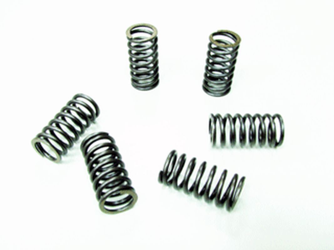 Clutch Springs Honda CRF250R 11-21, CRF250RX 18-21, Suzuki RMZ250 10-21 (EBS164)