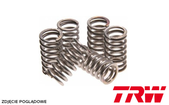 Clutch springs Kawasaki GPZ 1100 95-98, ZZR 1100 90-92, Suzuki RF 900 R 95-97 (6 pcs) (EBS029)