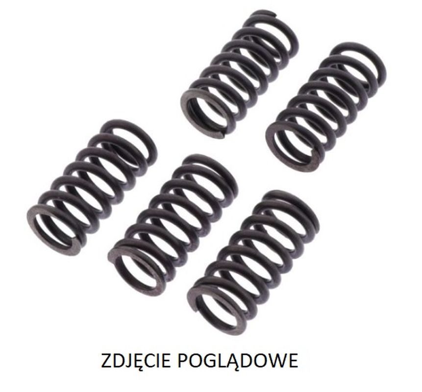 Clutch springs Hyosung GT 125 Comet 03-06, GV 125 Aquila 00-08, GV 125M Aquila 09-17, RT 125 05-11, Suzuki GN 125 94-99, GZ 125 Marauder 98-04, TU 125 XT 99