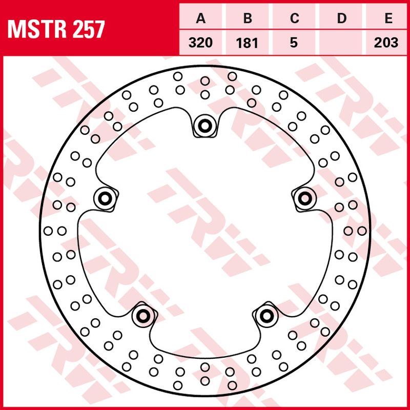 Front brake disc BMW F 800 GT 13-, S 1000 R 13-, S 1000 RR 09-18, K 1200 S 07-09, K 1300 GT 09-11, K 1300 R, S 09-15, K 1600 B 17-, K 1600 GT, GTL 11- (320x181x5 mm)
