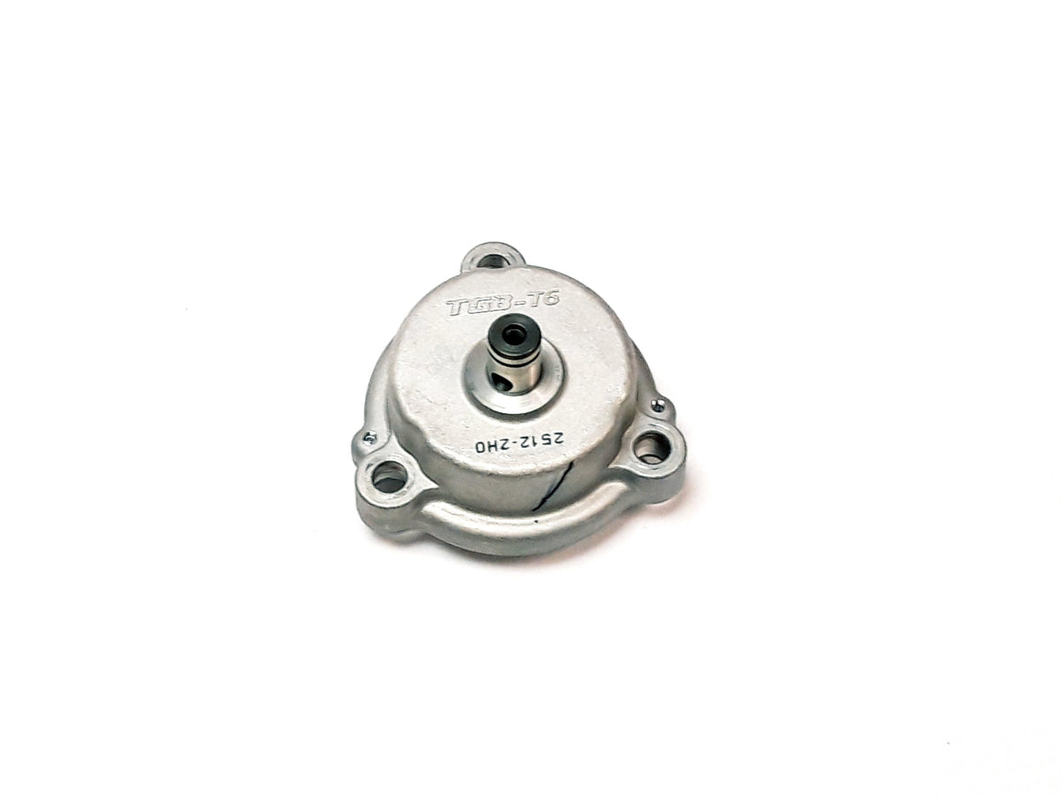 OIL PUMP TGB BLADE 1000 LTX E4 E5, genuine