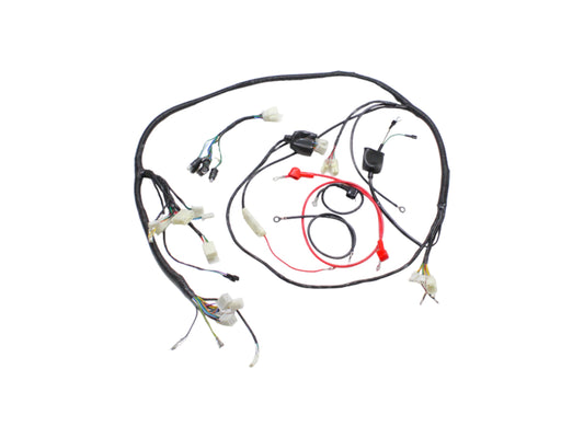 Wiring harness scooter GY6-50 4T 12" wheels