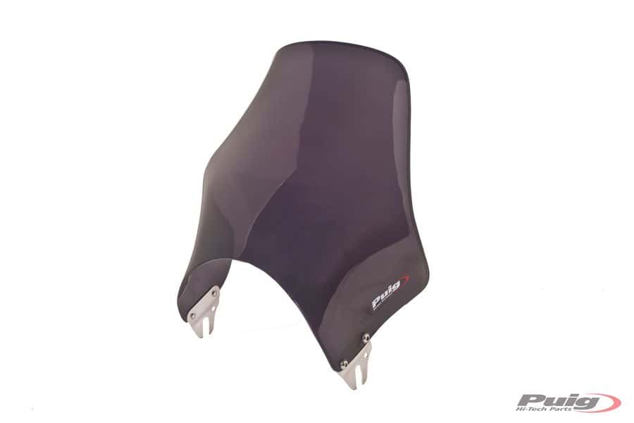 Universal Windscreen NAKED dark smoke