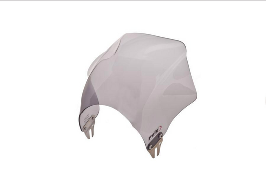 Universal Windscreen RAPTOR light smoke