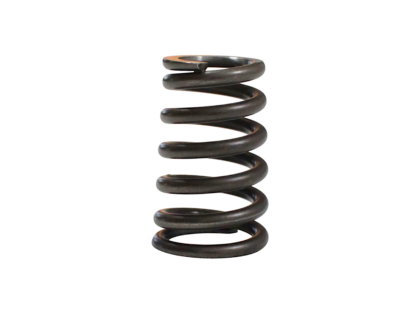 VALVE SPRING Qianjiang SFA 1000, genuine