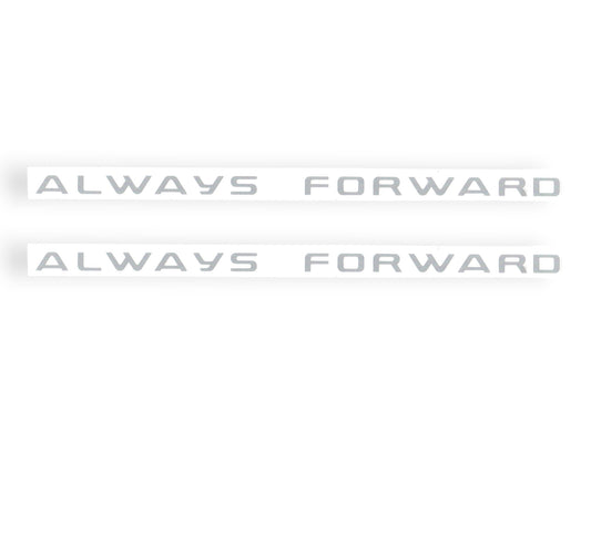RIGHT AND LEFT SIDE COVER LABLE（BW/02） Qianjiang SFA 1000, genuine