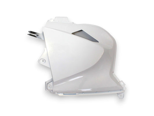 LEFT AIR FILTER SIDE COVER（WN） Qianjiang SFA 1000, genuine
