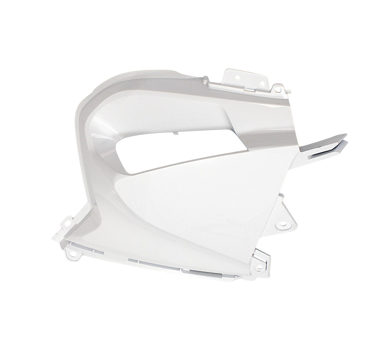 RIGHT AIR FILTER SIDE COVER（WN） Qianjiang SFA 1000, genuine
