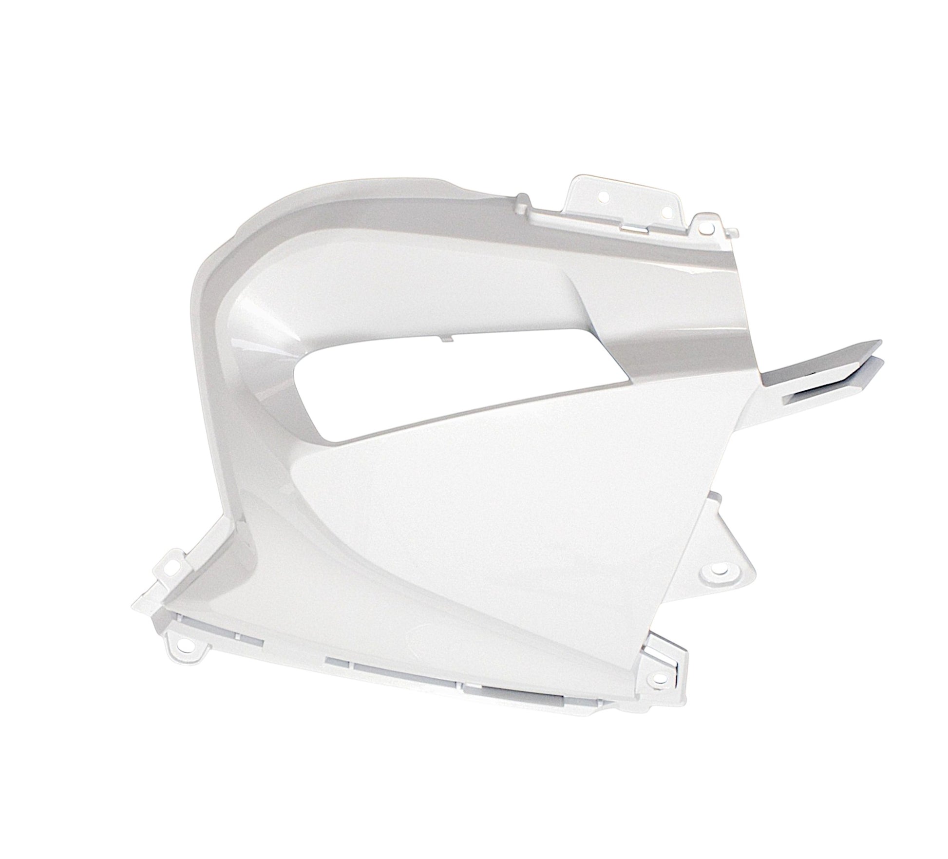 RIGHT AIR FILTER SIDE COVER（WN） Qianjiang SFA 1000, genuine