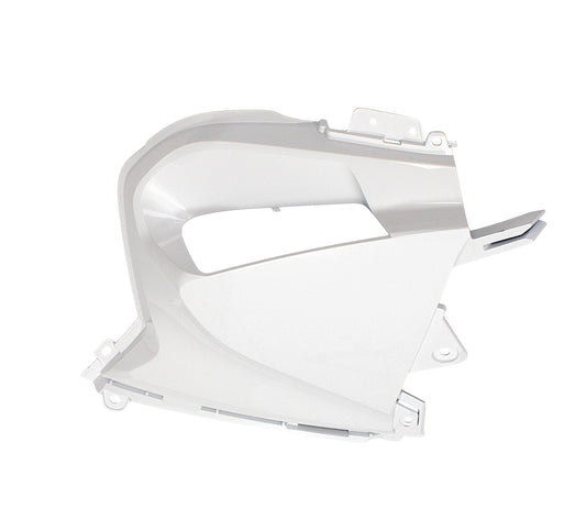 RIGHT AIR FILTER SIDE COVER（WN） Qianjiang SFA 1000, genuine