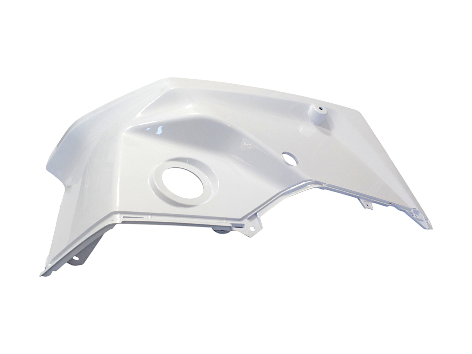 RIGHT REAR MUDGUARD（WN） Qianjiang SFA 1000, genuine