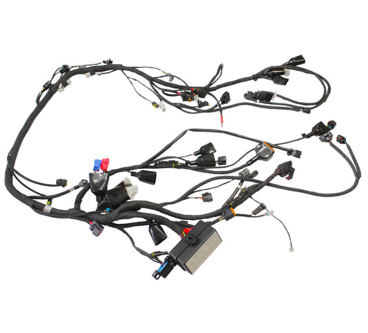 CABLE ASSEMBLY Qianjiang SFA 1000, genuine