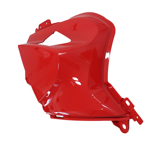 LEFT AIR FILTER SIDE COVER（RG） Qianjiang SFA 1000, genuine