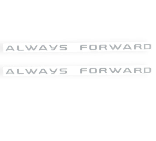 RIGHT AND LEFT SIDE COVER LABLE（VM/01） Qianjiang SFA 1000, genuine