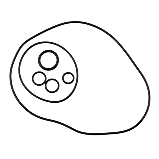 Engine O-ring set PX