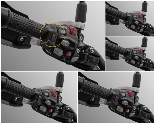 PUT THE GLOVES ON Qianjiang SFA 1000, genuine