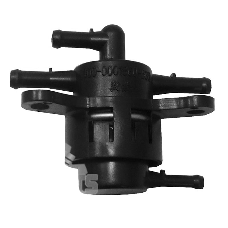 1751262U-000 Valve, Pressuriser Aeon Urban 350i, genuine – ScooterCraft