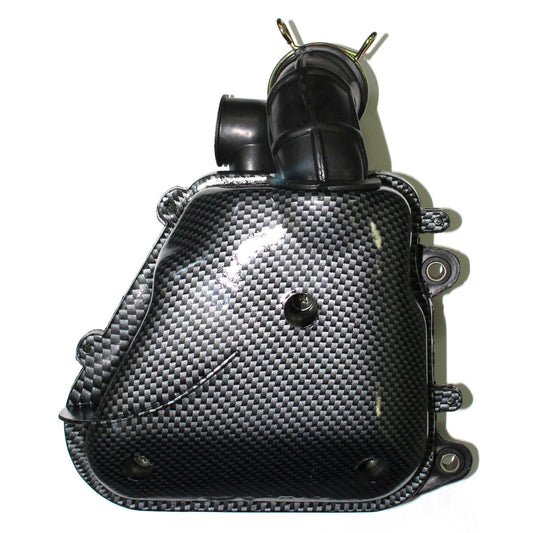 Complete air filter carbon Minarelli horizontal FPC000001