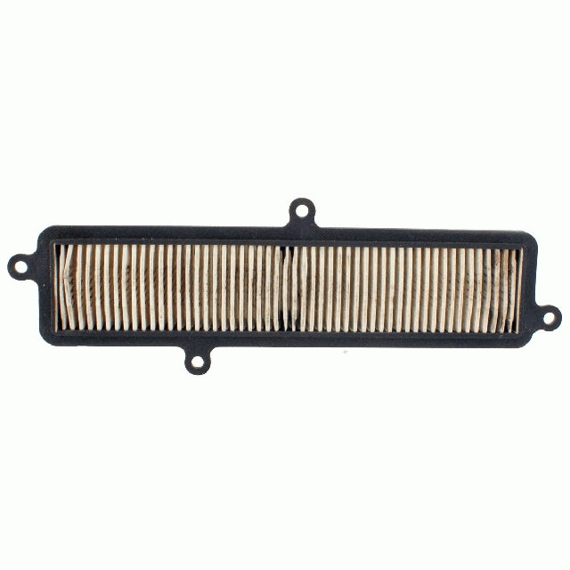 Air filter Suzuki Burgman 125,200 10 060 2550