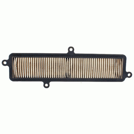 Air filter Suzuki Burgman 125,200 10 060 2550